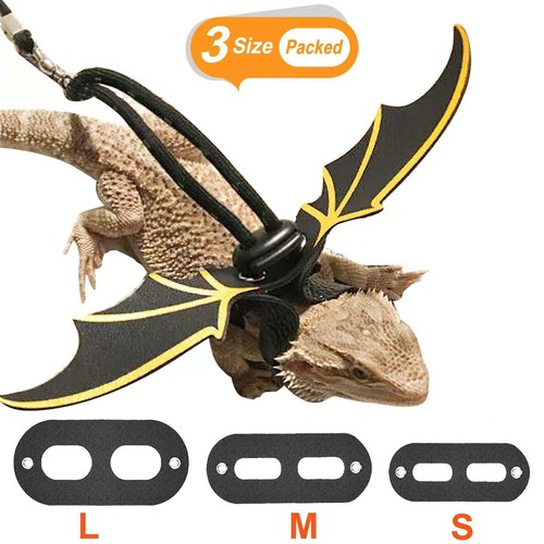Lizard traction rope reptile - traction,