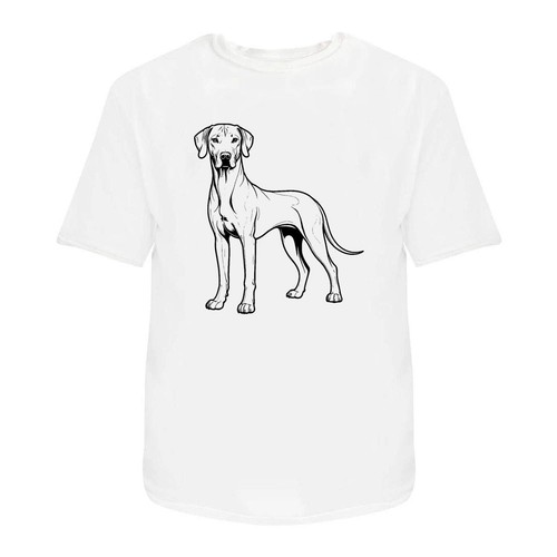 Rhodesian ridgeback dog - 'rhodesian, dog'
