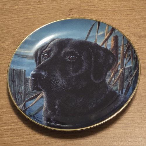 Vintage franklin mint labrador - franklin,