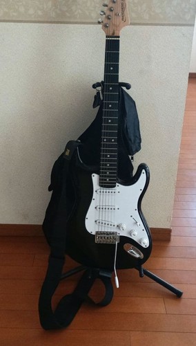 Photogenic strat type - photogenic,