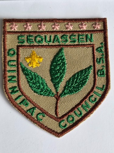 Rare error camp sequassen - error,