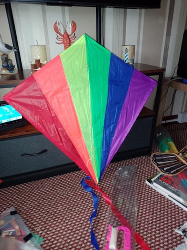 Traditional shape ripstop kite - shape,