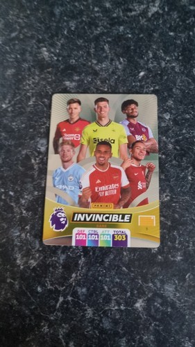 Panini premier league - , xl