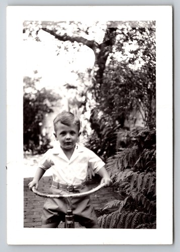 Vintage 1950s photo young boy - photo,
