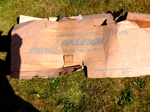 Rare raleigh budgie - budgie, original