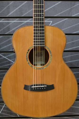 Tanglewood trs1e smart - trs1e, series