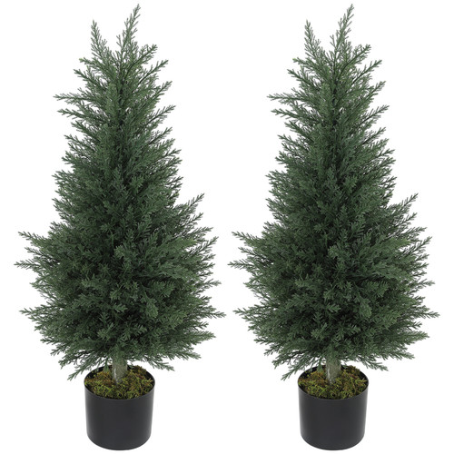 Set artificial cypress - set, of