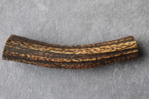 Real red deer antler - real,