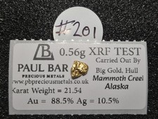 #201 - Natural Gold Nugget