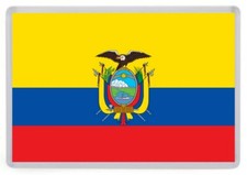 Ecuador Flag Fridge Magnet
