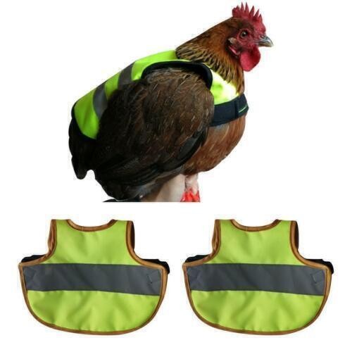 Chicken feather protection - 2x,
