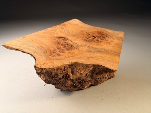 Cap burr elm live edge - burr,