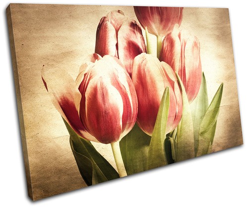 Tulips flowers vintage single - flowers,