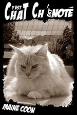 "Chat y est Ch'est Noté" Maine Coon:..., Miou, Éditions