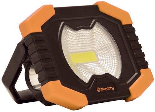 Work light and torch dual - light,