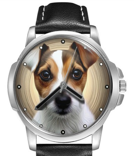Jack russel pet dog - pet,