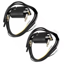 Set of 2 Ignition Coils for