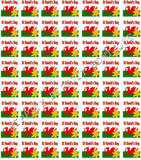 GORGEOUS "ST DAVIDS DAY/WELSH