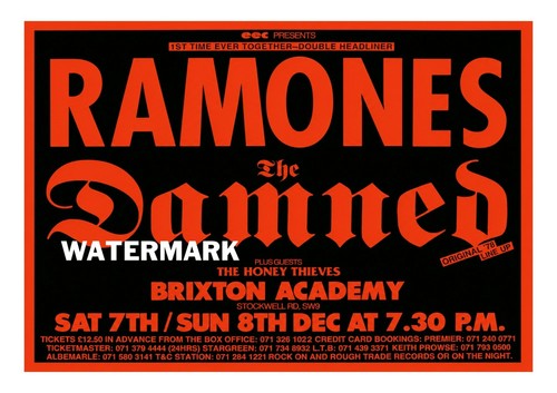 The ramones damned gig - the,