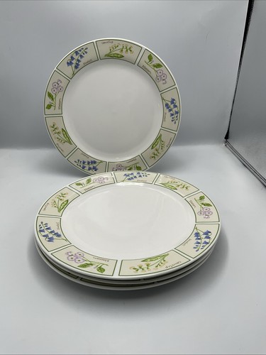 The tabletop company - the,