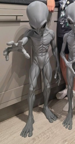 Life size grey alien - grey, 3ft