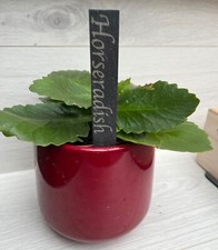 Slate Plant Marker