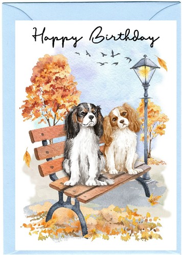 Cavalier king charles spaniel - charles,