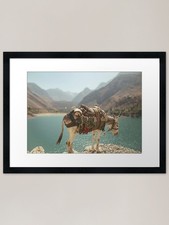 Donkey tajikistan framed - tajikistan,
