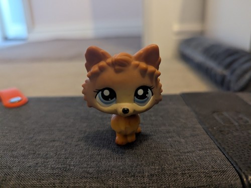 Little pet shop brown - little,