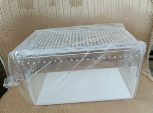 Acrylic reptile invertebrate - acrylic,