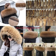 100% real Farm Ussuri Raccoon