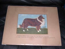 RARE ANTIQUE COLLIE DOG OIL PAINTING 1892 BY J.W. BATTEY "HADFIELD MONARCH" 
