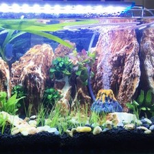 Aquarium oxygen pump - pump, air