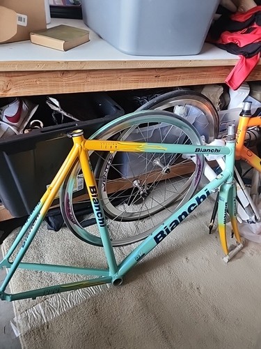 Bianchi reparto corse - corse, 61cm