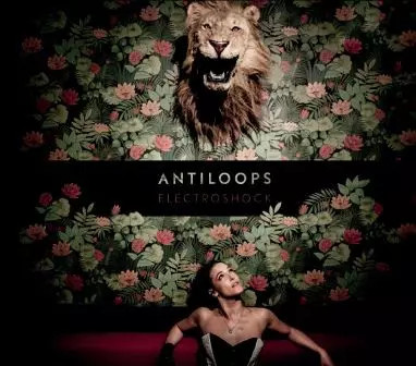 Electroshock antiloops - electroshock,,