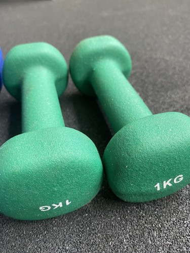 Bodymax light dumbbells - light,