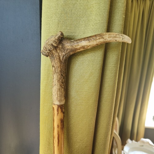 Antique walking stick - walking, antler