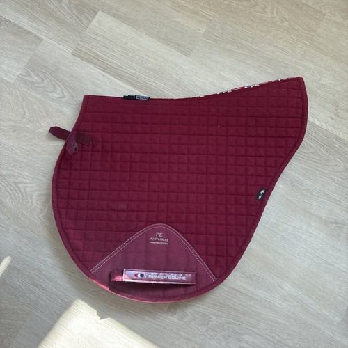 Premier equine close - premier,