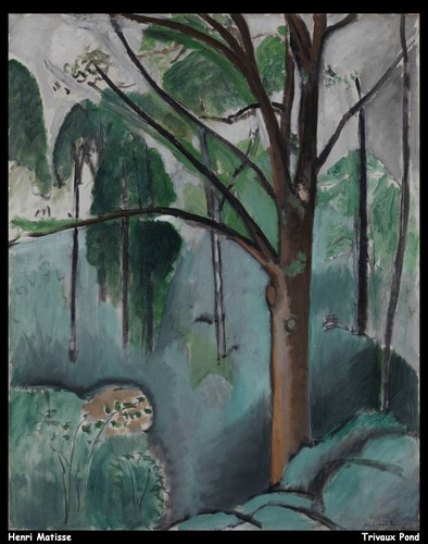 henri-matisse---trivaux-pond_1