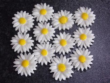Edible Fondant Small White