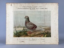 ANTIQUE PIGEON RACING