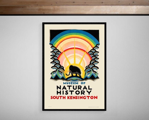 Museum natural history art - of,