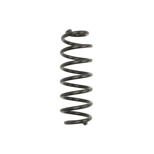 Coil spring rear fits - spring,