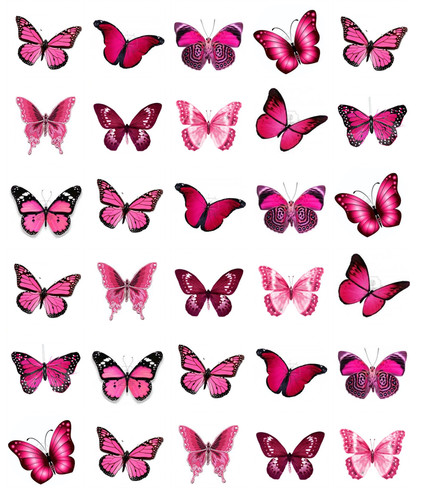 Pink butterflies cupcake - x,