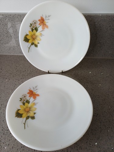 Jaj pyrex autumn - autumn, glory