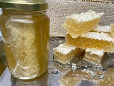 New Crop  2025 Yorkshire