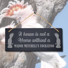House Not Home Without Major