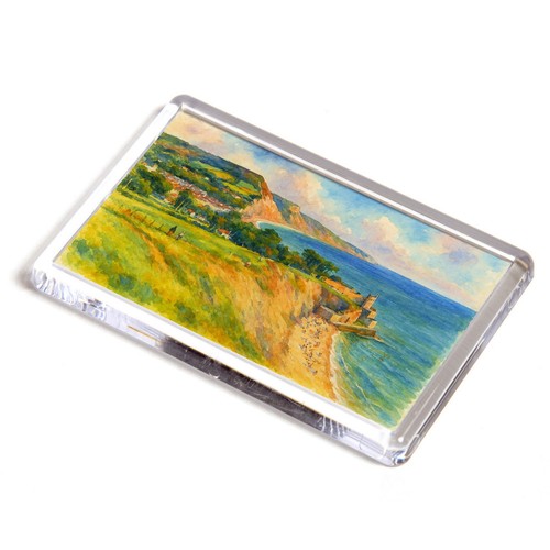Fridge magnet sidmouth from - -,