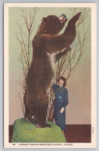 Largest kodiak bear ever - largest,