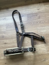 Cottage Craft Brown Synthetic Lunging Cavesson  cob / full size 